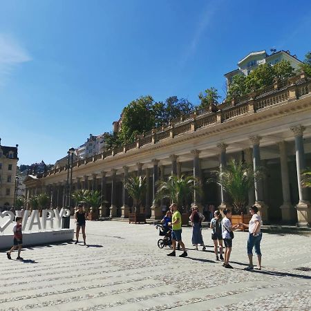 Apartamento Ubytovani Ester - Utulny Byt V Lazenskem Centru Karlovych Varu Se Zahradkou Karlovy Vary Exterior foto