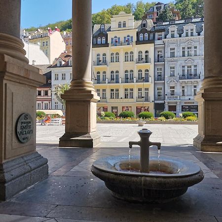 Apartamento Ubytovani Ester - Utulny Byt V Lazenskem Centru Karlovych Varu Se Zahradkou Karlovy Vary Exterior foto