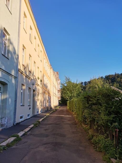 Apartamento Ubytovani Ester - Utulny Byt V Lazenskem Centru Karlovych Varu Se Zahradkou Karlovy Vary Exterior foto
