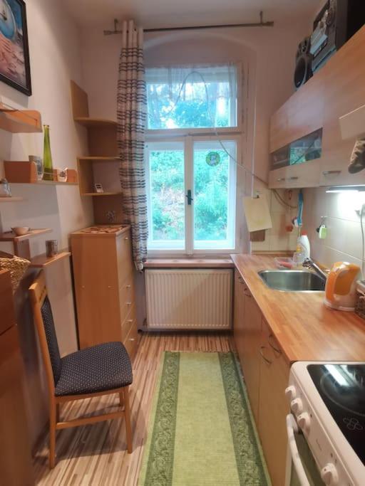 Apartamento Ubytovani Ester - Utulny Byt V Lazenskem Centru Karlovych Varu Se Zahradkou Karlovy Vary Exterior foto
