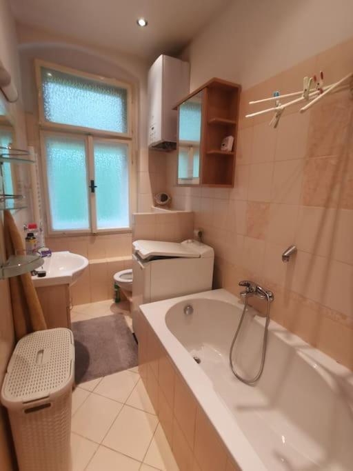 Apartamento Ubytovani Ester - Utulny Byt V Lazenskem Centru Karlovych Varu Se Zahradkou Karlovy Vary Exterior foto
