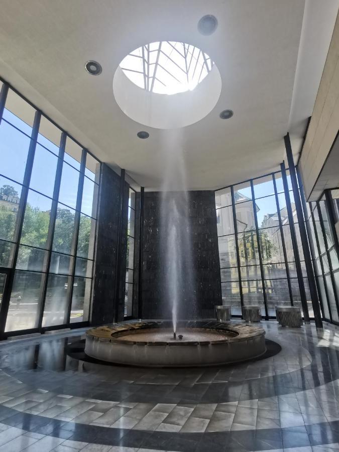 Apartamento Ubytovani Ester - Utulny Byt V Lazenskem Centru Karlovych Varu Se Zahradkou Karlovy Vary Exterior foto