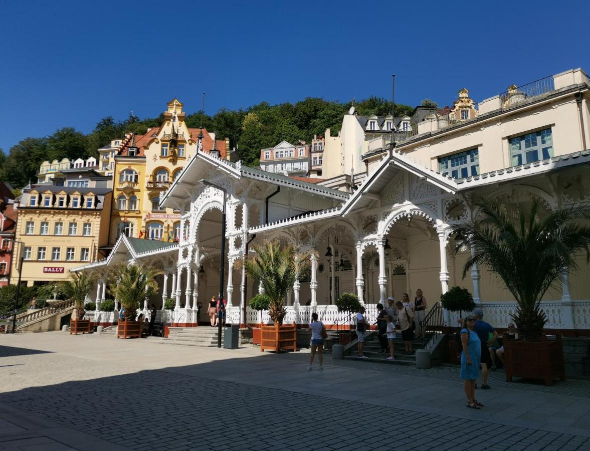 Apartamento Ubytovani Ester - Utulny Byt V Lazenskem Centru Karlovych Varu Se Zahradkou Karlovy Vary Exterior foto
